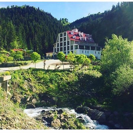 Hotel Green Valley Savsat Экстерьер фото