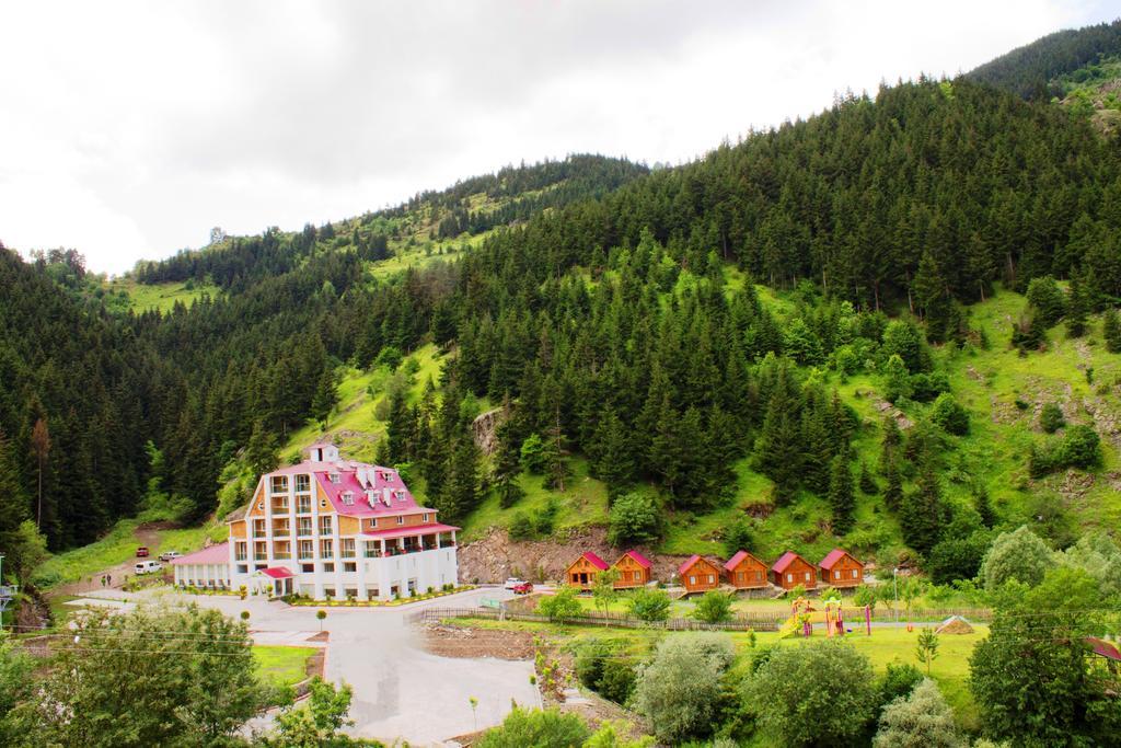 Hotel Green Valley Savsat Экстерьер фото