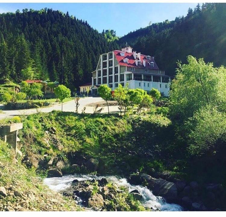 Hotel Green Valley Savsat Экстерьер фото