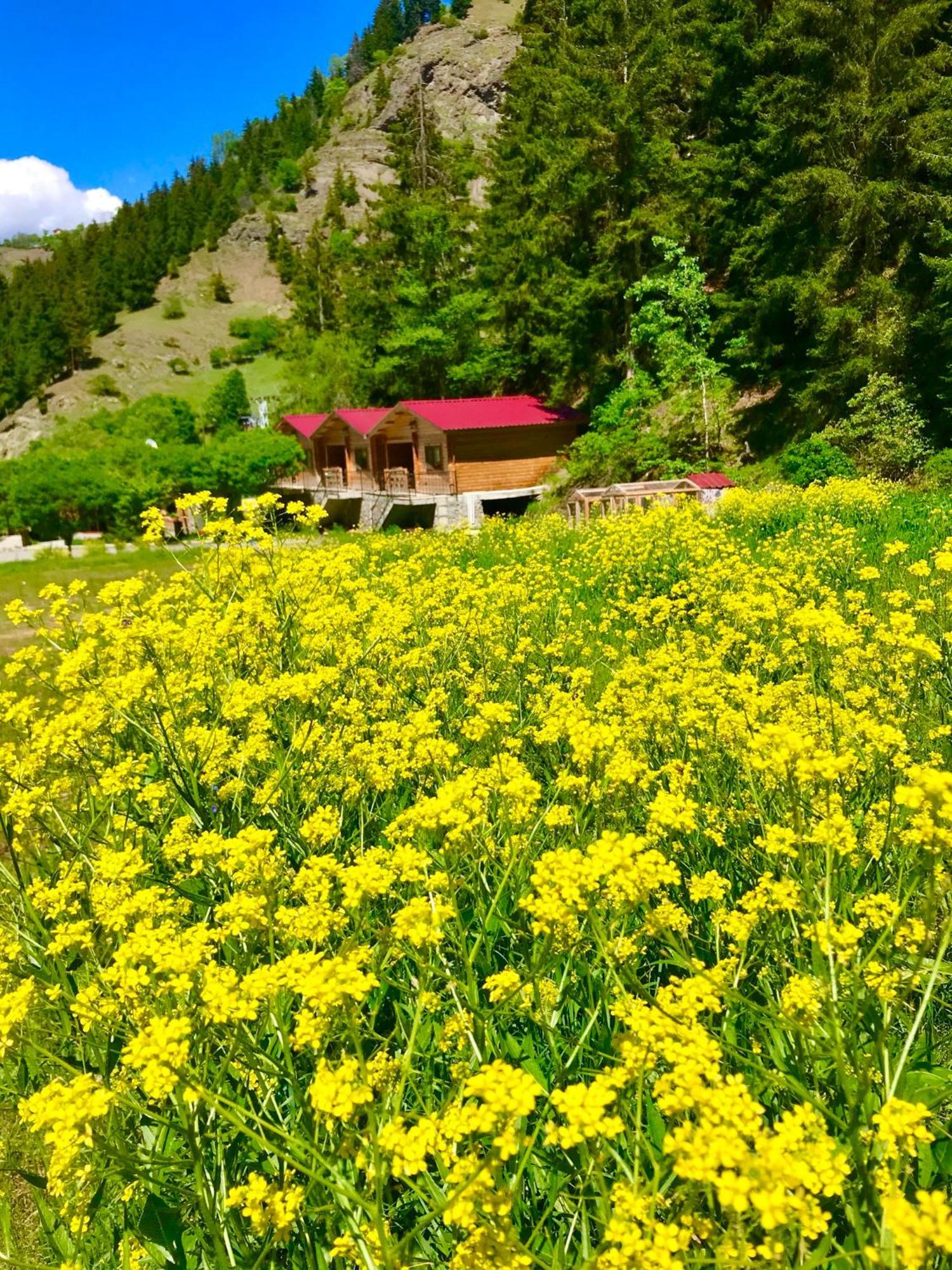 Hotel Green Valley Savsat Экстерьер фото